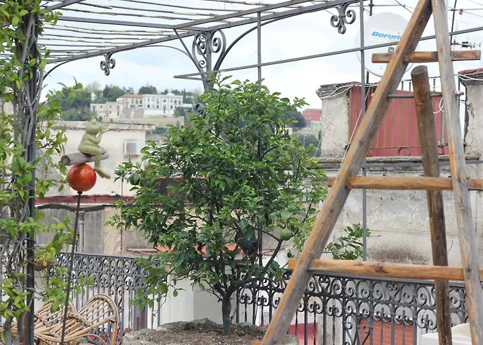 Lemon Tree Terrace